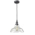 Clear Glass Rustic Kitchen Island Pendant lighting Fixture